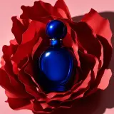 Deep-blue perfume bottle centered inside layered red flower petals